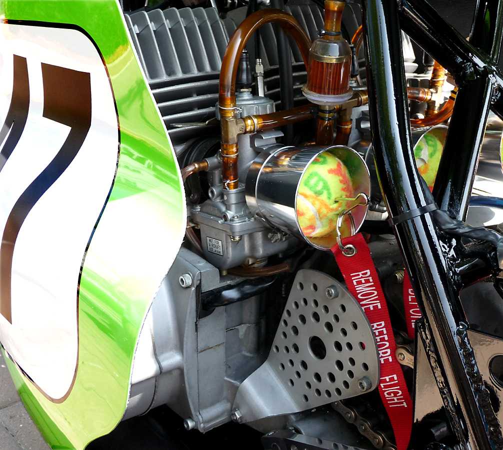 P1000164.jpg - Preventing Birds Nesting Between Races.