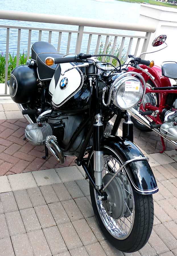 P1000208.jpg - Another Very Attractive /2.