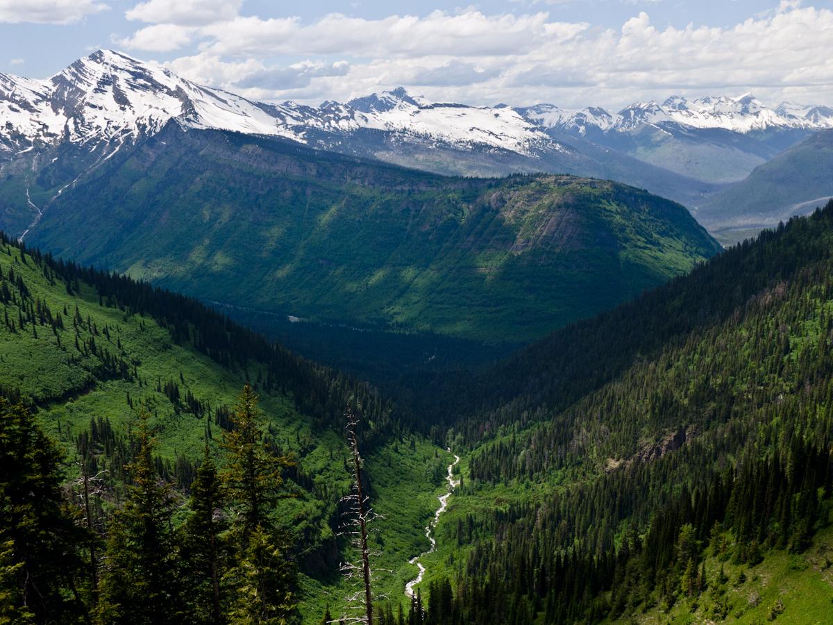 P1010575.jpg - The view south from Glacier's Going to the Sun Road.