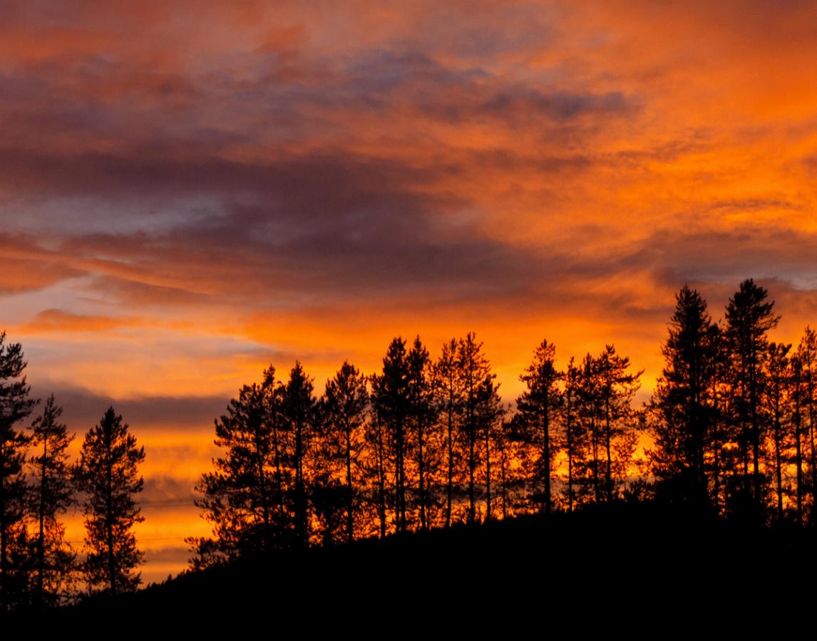 P1010582.jpg - Sunset over our campsite in Hungry Horse, MT.