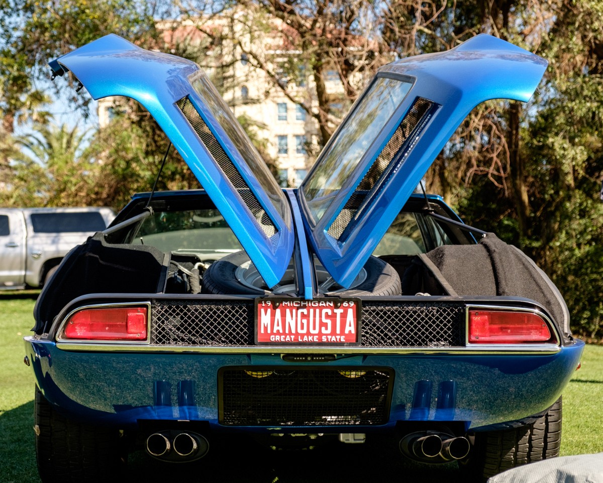 MEGT3577.jpg - THE MONGOOSE TAKES WING.