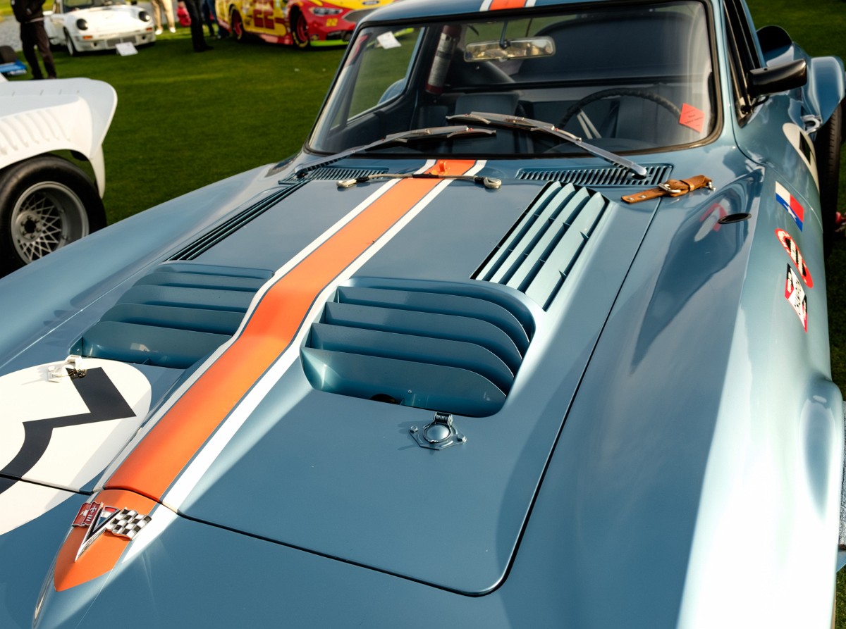 MEGT3662.jpg - CLEARLY NOT YOUR EVERY DAY GARDEN VARIETY C2 CORVETTE.