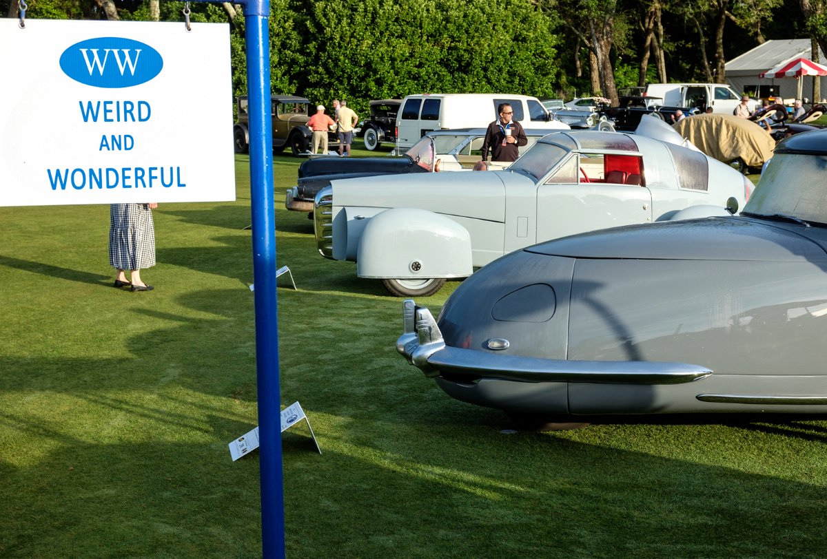 MEGS3183.jpg - Class name says it all, a potpourrri of strange.