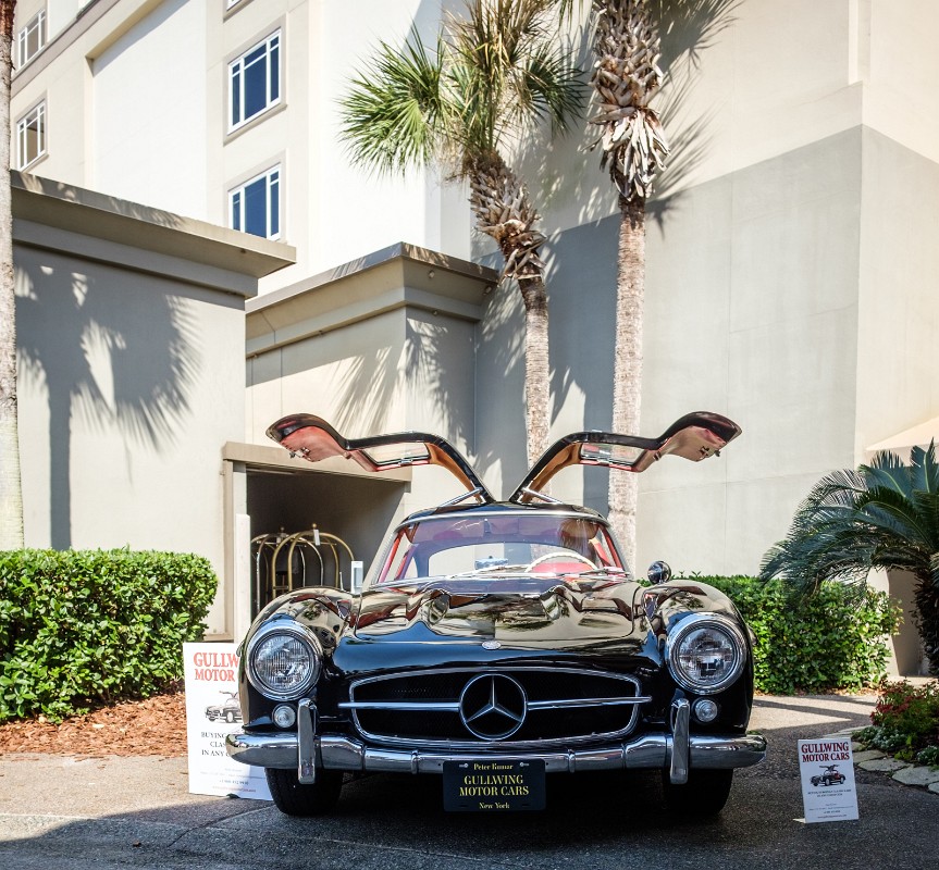 MEGS3377.jpg - GULLWING FROM GULLWING.