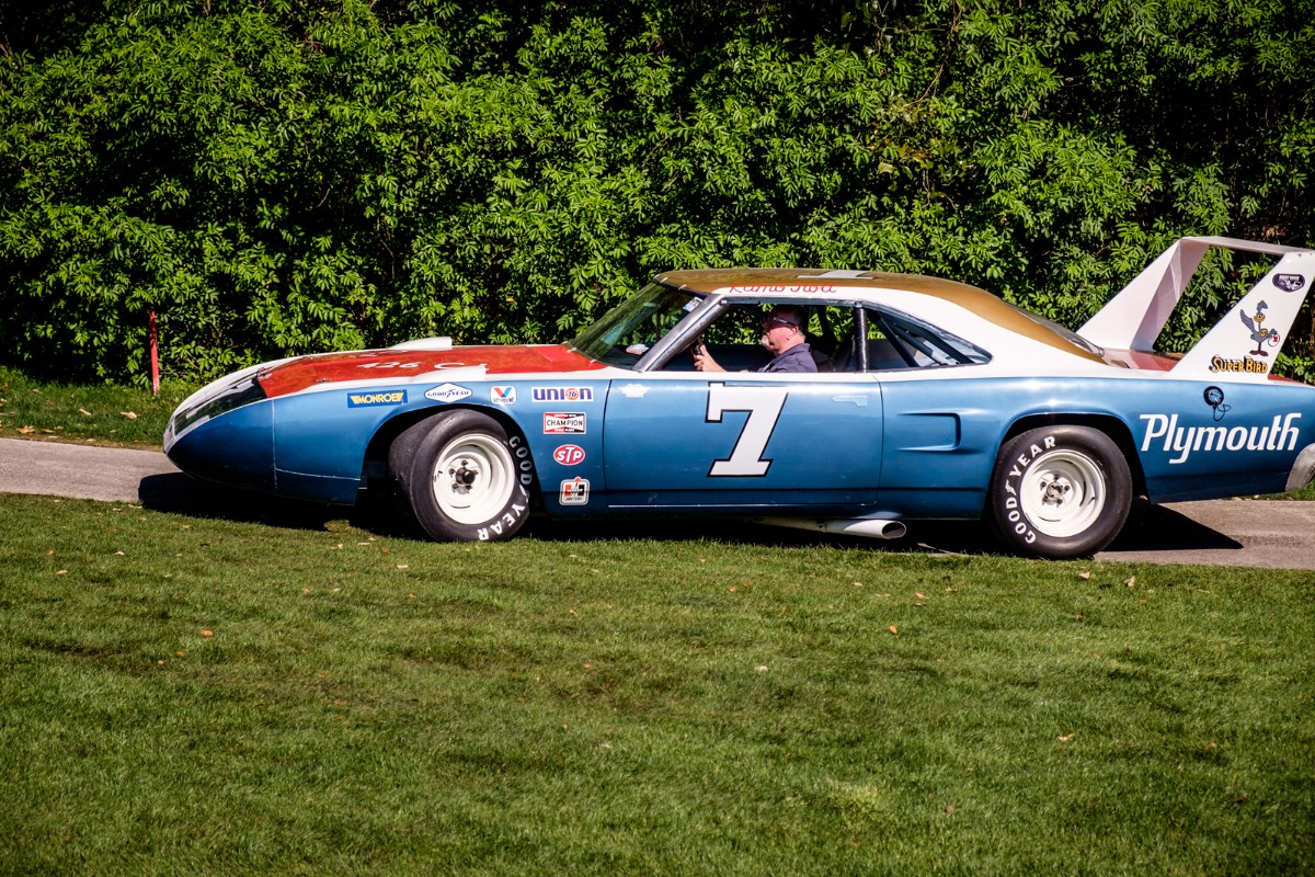 MEGT4008.jpg - THE UNDERSTATED SUPERBIRD.