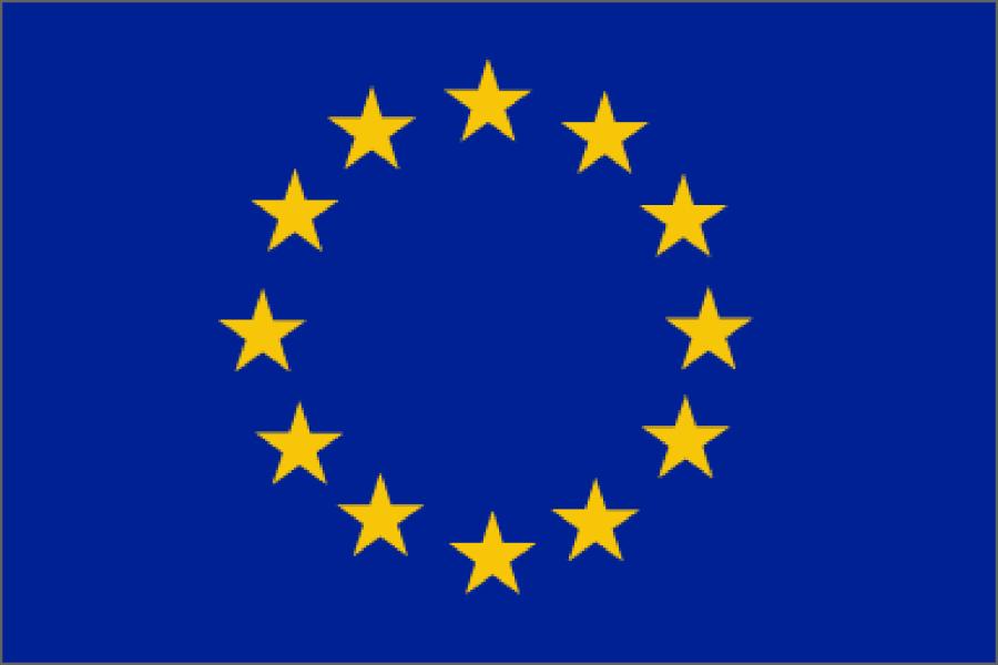 euflag