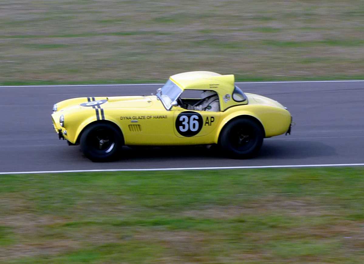 L1010728.JPG - Another of the four FIA Cobras in the race, this one finished third.